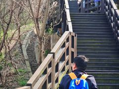 -圌山