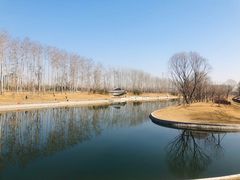 -坝河休闲公园