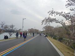 -羊山湖公园