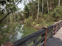 -水濂山森林公园