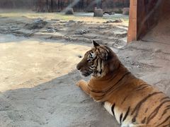 -杭州野生动物世界