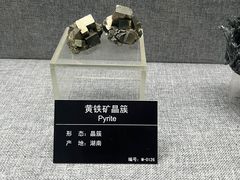 -甘肃地质博物馆