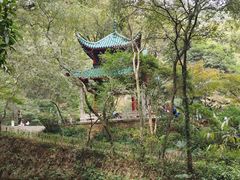 -岳麓山风景名胜区