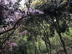 -玉女潭景区