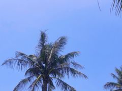 -东海岛旅游度假区