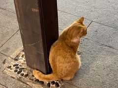 -兄弟鸡排.芋泥香酥鸭(淮海街店)