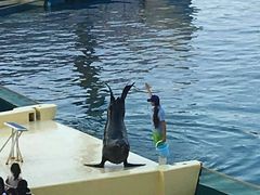 -秦皇岛乐岛海洋王国