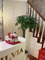 -茜尔维亚修身连锁(闵行莘庄店)