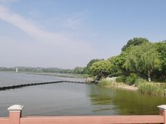 -上海市保健医疗中心