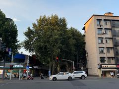 -袁大头包子(光华路店)