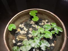 -曲水兰亭(北京四惠店)