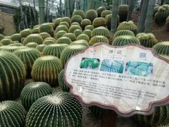 -南山植物园