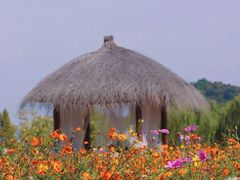 -径山花海
