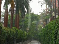 -八婆婆烧仙草(中山路店)