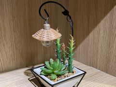 -梵猫·新养生(福州万象城店)
