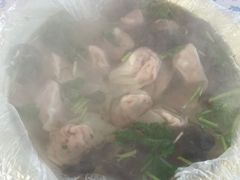 -蒲河大集