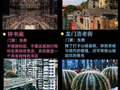 -磁器口古镇