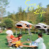 春日美好|带着孩子去露营吧⛺️