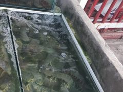 -拉威海鲜市场