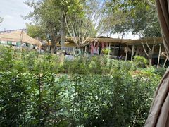 -苏记溪河鲢鱼庄(天府新区店)