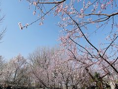 -三里河公园