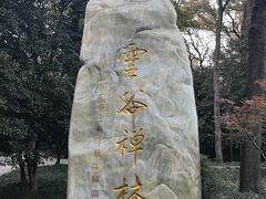 -灵谷景区