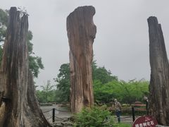 -金钉子远古世界景区