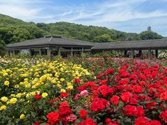 -龙寺生态园