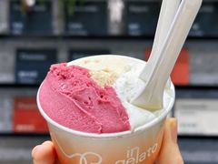 热红酒雪葩-Dip in Gelato(富民路店)