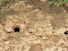 -汉长安城未央宫国家考古遗址公园