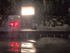 -明月山天沐温泉度假村