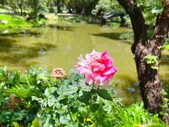 -人民公园(罗湖区)