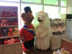 -济州岛泰迪熊博物馆