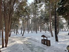 -兰山公园