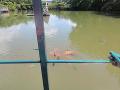 -陶祖圣境风景区