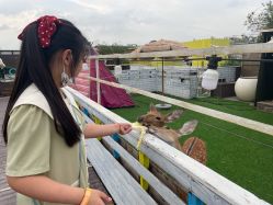 -小蜜蜂农场(凯德七宝购物广场店)