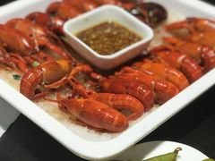 -不炭白烧烤(成都首店)
