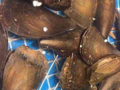 -宴立方海鲜自助(义乌万达广场店)