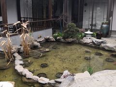 -雅和生态渔庄·宜城锅巴饭(龙灵山公园店)