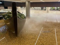 -大头椰·椰子鸡火锅(南宁万象城店)