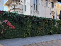 -天津意大利风情旅游区