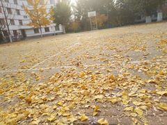 -辽东学院(南校区)