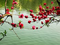 -重庆彩云湖湿地公园