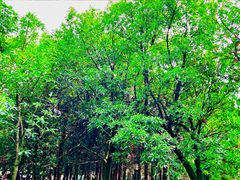 -白马涧龙池景区