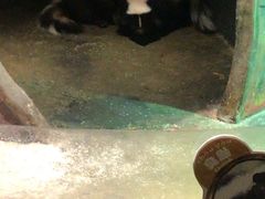 -zoonana室内动物园(东方福来德店)