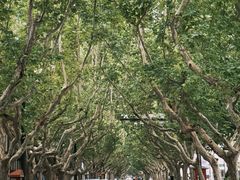 -一尺花园(安和花园店)