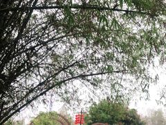 -青瓦房古村落