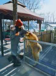 -萌宠亲子动物乐园(槐房万达店)