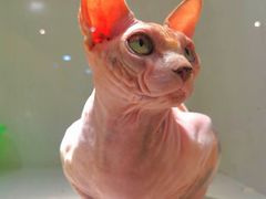 -乐宠宠物店(世纪金源店)