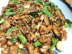 -食鸡公社辣子鸡·潍坊菜·烧烤